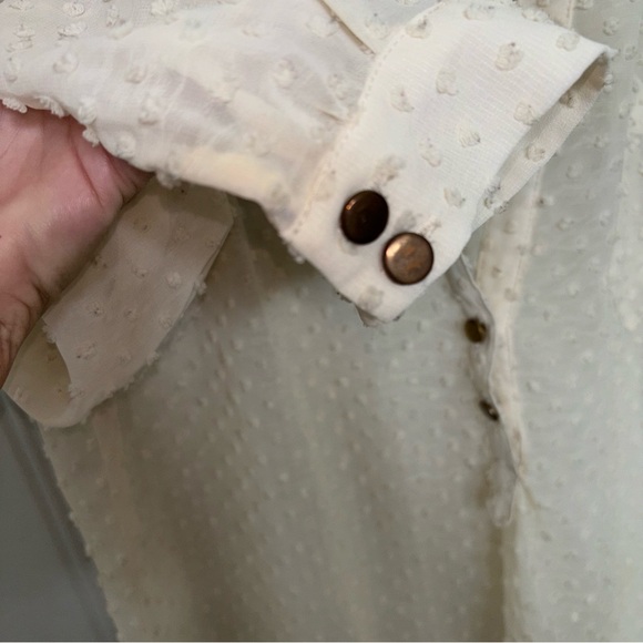 Lumiere Off-White Swiss dot Sheer Blouse - Picture 4 of 9